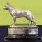 Chrystal Trophy for Hampshire Police Dog Section