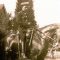 Hampshire Constabulary Mounted branch - Whitehill 1924