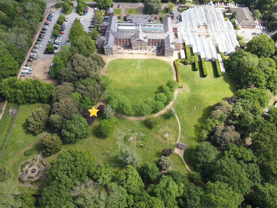 Aerial map location of Ashley Hall's Memorial Tree