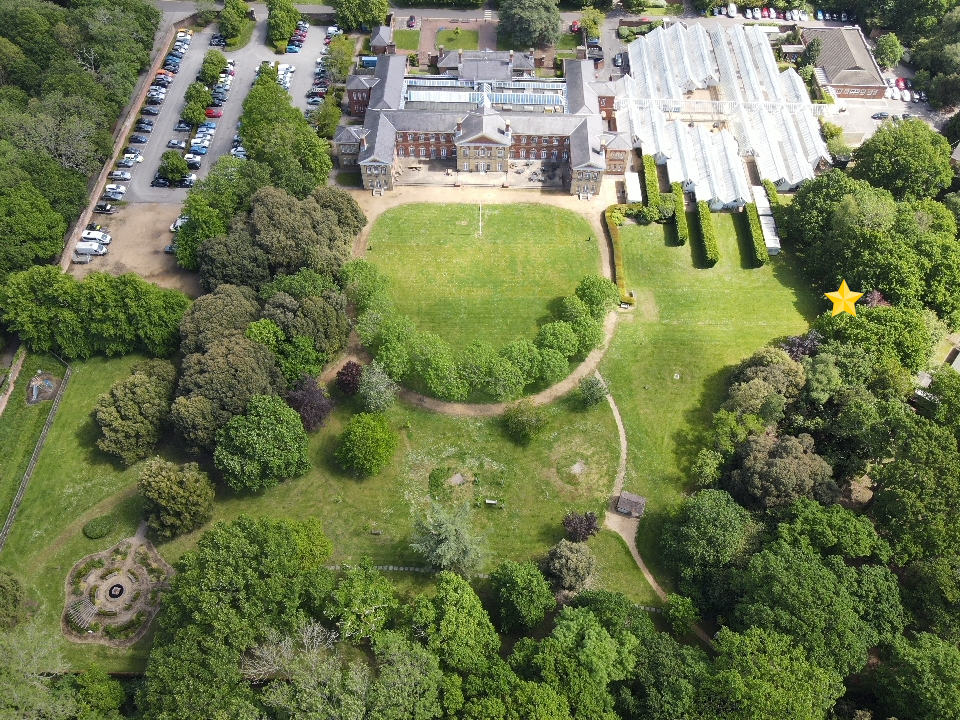 Aerial map location of David Bradley's Memorial Tree